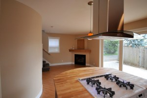 gas range and fireplace in Stephen Williams' ADU