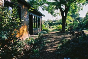 Nelson-Matthews Courtyard