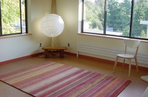 Lawrence ADU Living Room 2