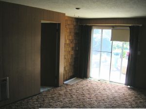 Clark & Chen daylit basement was dark because of dark faux wood paneling