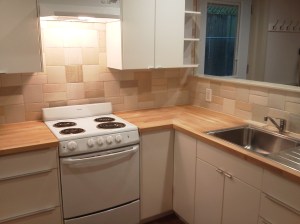 Punton-Chapin ADU Kitchen 2